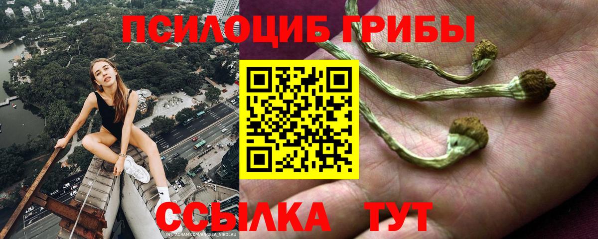 Галлюциногенные грибы MAGIC MUSHROOMS  Вход с VPN  Ирбит 
